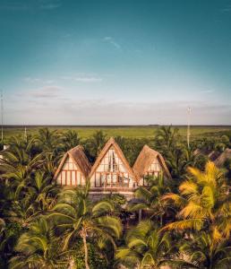 圖盧姆的住宿－圖盧姆拉瓦萊斯酒店，棕榈树环绕的房子的空中景色