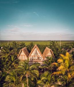 una vista aérea de una casa rodeada de palmeras en La Valise Tulum, en Tulum