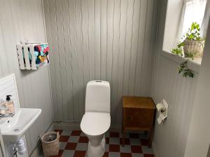 a bathroom with a white toilet and a sink at Strandgården Hoverberg. in Svenstavik