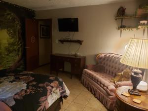 uma sala de estar com um sofá e uma televisão em Cute Forest Themed Room With Kitchenette & Wifi em Mena