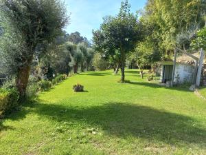 a large yard with trees and a house at Quinta do ribeiro - refugio romântico com piscina panorâmica junto ao Geres in Arcos de Valdevez