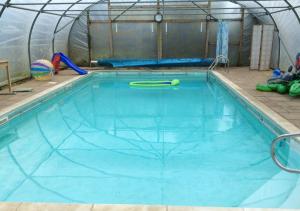 - une piscine dans un igloo avec une piscine dans l'établissement Vincent Studio, à Snape