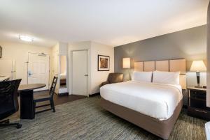 una camera d'albergo con letto e scrivania di Sonesta Simply Suites Hampton a Hampton