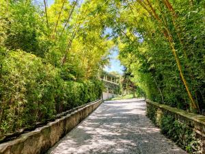 une route bordée d'arbres et d'un mur en pierre dans l'établissement Rancho La Joya, à Xochitepec