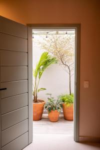 an open door with potted plants in the background at Casa Savana in São Paulo