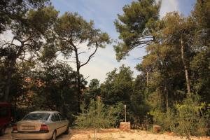 Fotografie z fotogalerie ubytování Apartments by the sea Artatore, Losinj - 8022 v destinaci Čunski