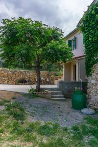 Zahrada ubytování Holiday house with a parking space Banjol, Rab - 20120 + 8 fotografií
