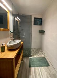德豪特漁村的住宿－Ti karet - Charmant logement avec Jacuzzi et vue mer，一间带水槽和淋浴的浴室