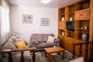 a living room with a couch and a tv at Casa Di Mattoni in Bento Gonçalves