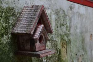 a wooden bird house hanging on a wall at No. 6 Cuobian Hostel in Shantou