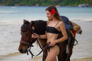 ロンサレム島にあるサレム ラグーナ リゾートの浜辺の馬に乗るビキニ姿の女性