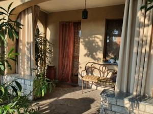 Zahrada ubytování B&B Family Home