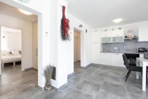 Kuchyň nebo kuchyňský kout v ubytování Apartment PATRICK with private pool