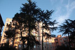 The building in which a panziókat is located