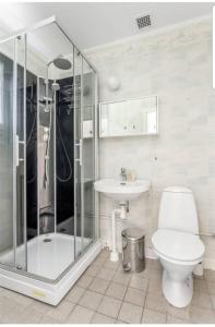 W łazience znajduje się prysznic, toaleta i umywalka. w obiekcie Dream of Dalarna by Tanja w mieście Vansbro