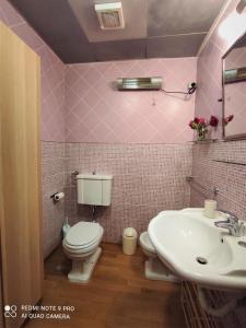 ein rosafarbenes Bad mit einem WC und einem Waschbecken in der Unterkunft Dependace il David di Michelangelo in Florenz