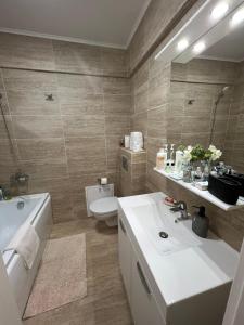 ein Badezimmer mit einem Waschbecken, einem WC und einem Spiegel in der Unterkunft Apartament de lux intr-o zona rezidentiala linistita in Iaşi