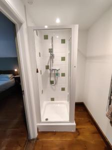 a bathroom with a shower with a glass door at Pleck Barn B&B in Ansty