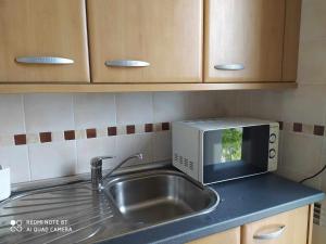 encimera de cocina con fregadero y microondas en Precioso apartamento Campo Golf, en Huesca