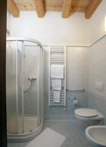 a bathroom with a shower and a toilet and a sink at Villa Maria Luigia in San Biagio di Callalta