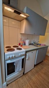 a kitchen with a white stove and a sink at Apple Lodge Apartment in Forkill
