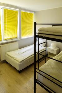 sypialnia z 2 łóżkami piętrowymi i 2 oknami w obiekcie Camping Oaza Błonie Kórnik Domki Standard Plus - 3 pokoje w Kórniku