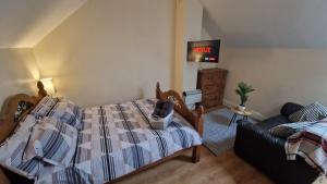 een slaapkamer met een bed, een bank en een tv bij Apple Lodge Apartment in Forkill