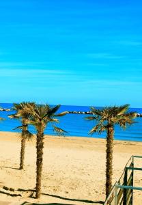 three palm trees on a sandy beach with the ocean at Little House in San Salvo