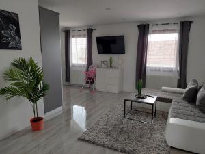 TV a/nebo společenská místnost v ubytování Apartman Pavenka