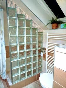 a bathroom with a wall of glass dividers at Apartmán Romanna in Terchová