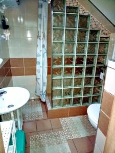 Koupelna v ubytování Apartmán Romanna