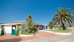 a large palm tree is in the middle of a residential area at Villaggio Le Palme in Ascea