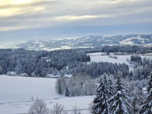 een uitzicht op een met sneeuw bedekt veld met bomen bij Panorama Bayerwald in Neureichenau