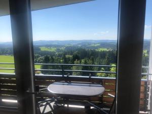 een bad bovenop een balkon bij Panorama Bayerwald in Neureichenau