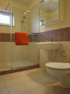 ein Bad mit einem WC, einem Waschbecken und einer Dusche in der Unterkunft Ferienwohnung Magma in Lutzerath