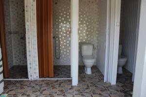 a bathroom with a toilet and a shower in it at Kemping pod figą in Granichar