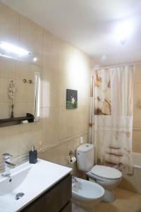 a bathroom with a toilet and a sink and a shower at CASA ROSY in Puerto del Rosario +52 photos
