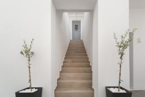 Fotografie z fotogalerie ubytování Barbarigos luxury spa apartments v destinaci Nausa