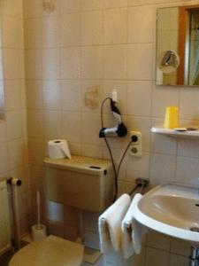 uma casa de banho com um lavatório, um WC e um espelho. em Hotel Restaurant Zum Alten Ritter em Bad Bodenteich