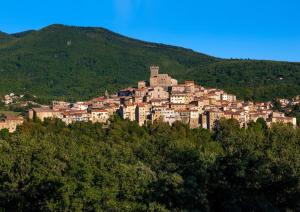 une ville au sommet d'une colline avec des arbres dans l'établissement Borgo medievale Arcidosso, à Arcidosso