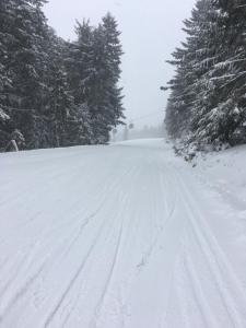 Alpen Studio Ellmau I v zime