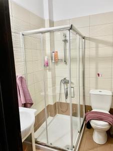 a bathroom with a shower with a toilet and a sink at Cyprus Penelope in Larnaca