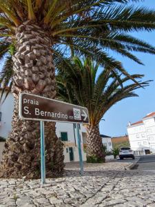 um sinal de rua em frente a uma palmeira em The Whale Beach House em Atouguia da Baleia