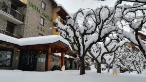 un árbol cubierto de nieve frente a un edificio en Hotel Saurat, en Espot