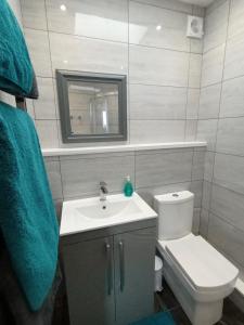 a bathroom with a sink and a toilet and a mirror at Contemporary one bed studio. Sea views and parking in Westward Ho