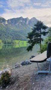 Príroda v okolí apartmánu