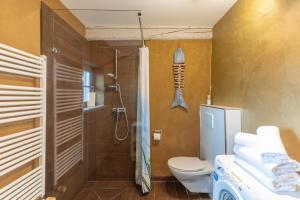 a bathroom with a shower and a toilet and a shower at Reethus Koldenbüttel in Hollbüllhuus +22 photos