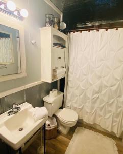 a bathroom with a toilet and a sink at Pecan St. Parlor Haus Downtown Bandera, TX in Bandera