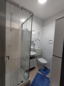 a bathroom with a toilet and a glass shower at Apartment Doriana in Srima +25 photos