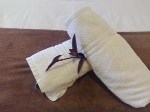un calcetín blanco con una cinta marrón. en Pousada dos Corais, en Mundaú